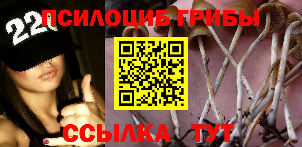 Псилоцибиновые грибы мухоморы  Вход с VPN  что такое наркотик  Псилоцибиновые грибы Psilocybine cubensis  Наро-Фоминск 